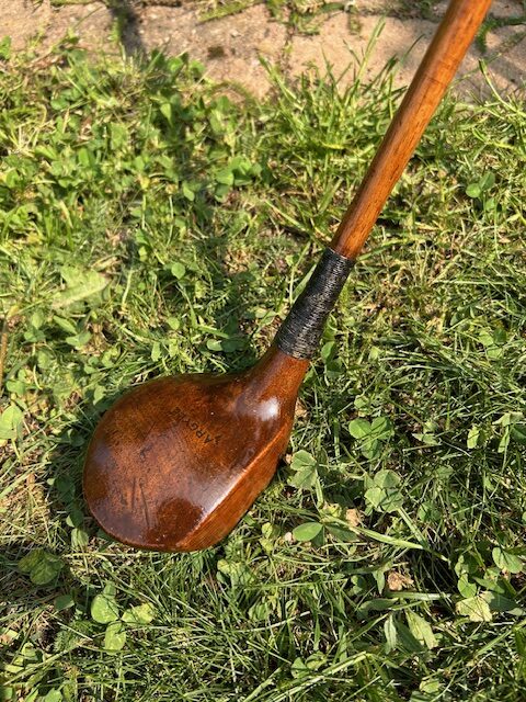 Unnamed Brassie #3