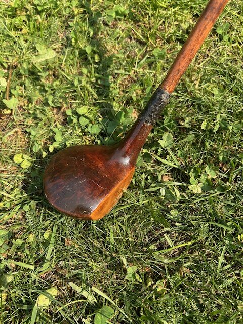 Unnamed Brassie #5