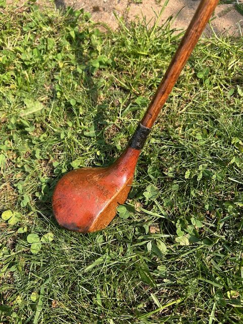 Unnamed Brassie #6