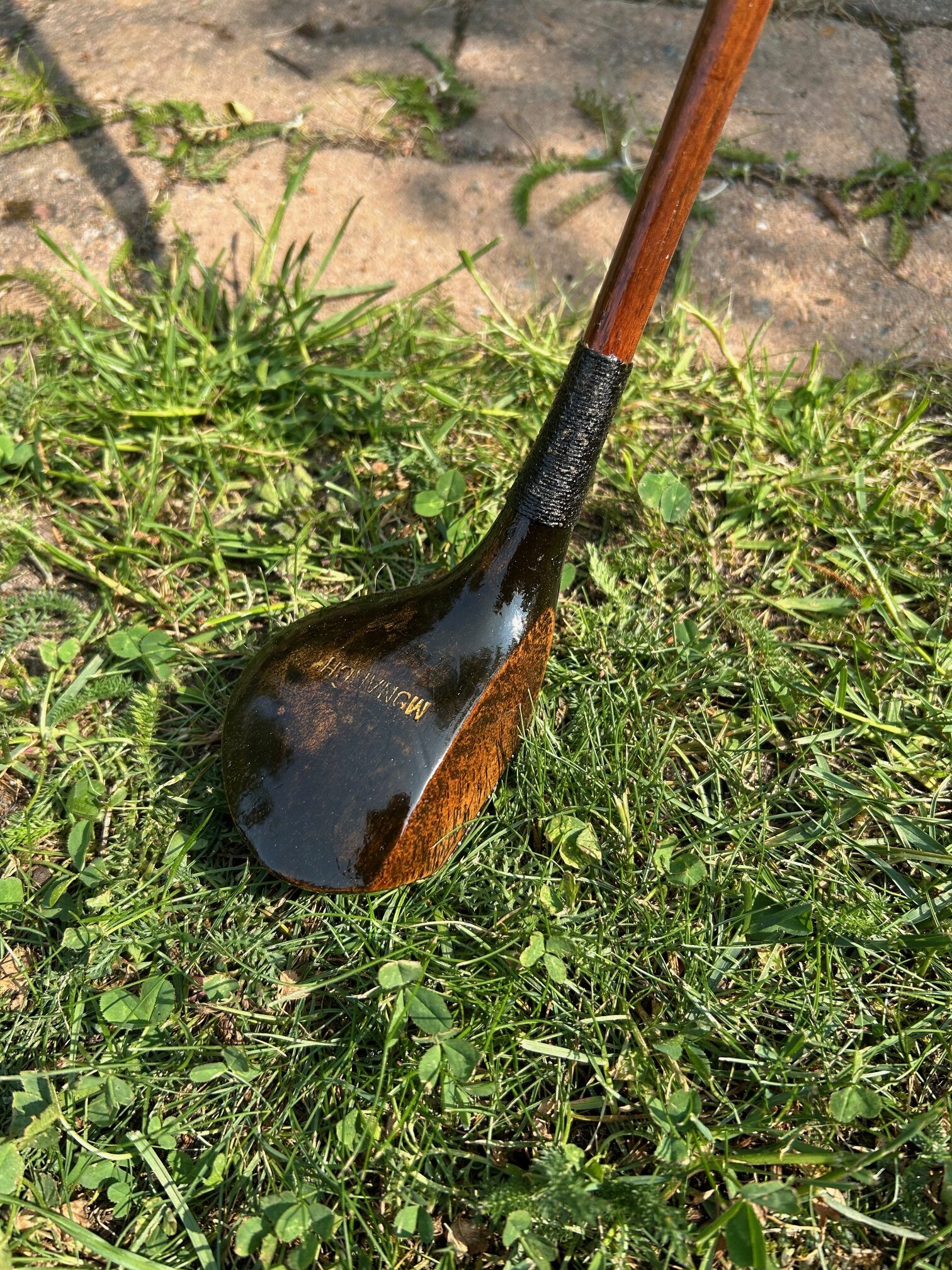 Monarch Brassie